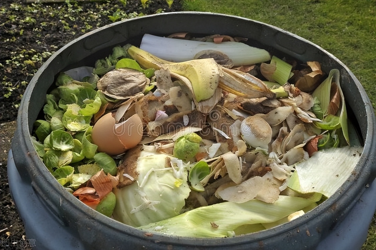 厨余垃圾有什么,厨余垃圾有什么物品