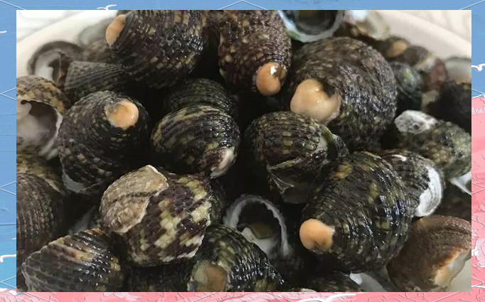 芝麻螺的做法,芝麻螺的功效与作用