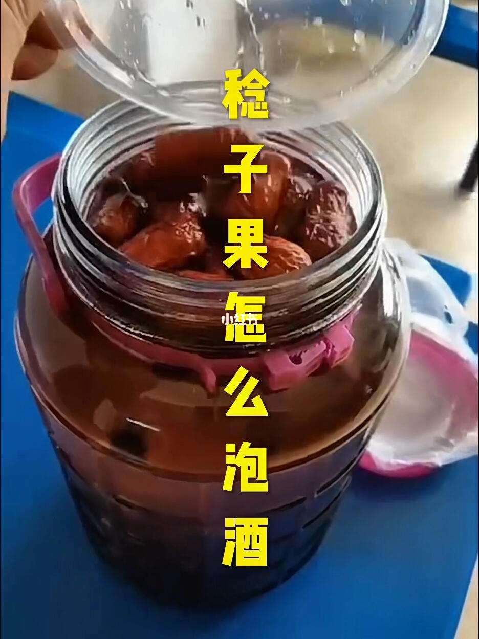 稔子酒的做法稔子比例,山稔子的功效与作用及食用方法