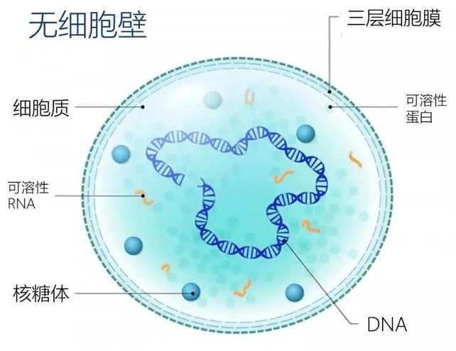 小米应用商店 第13页