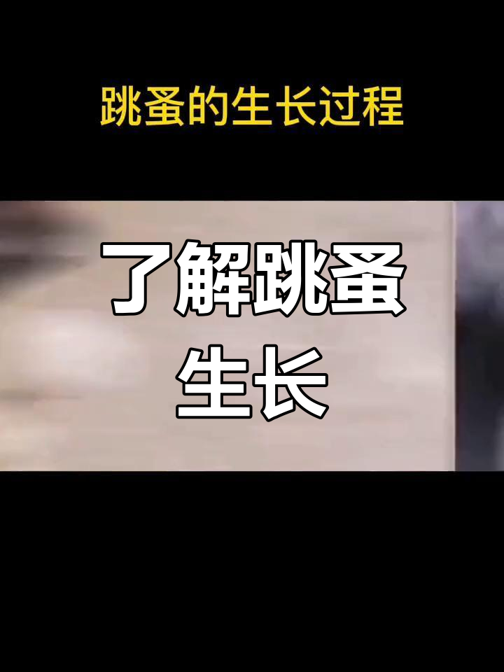 跳蚤怎么来的,跳蚤是哪里来的