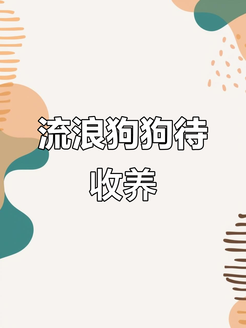 流浪狗领养流程及注意事项,家里养猫后领养流浪猫注意事项