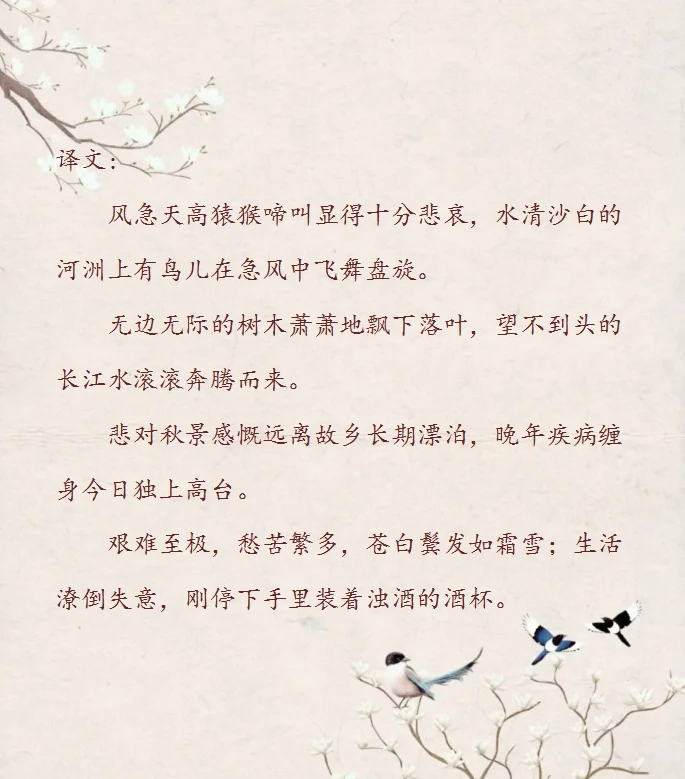 杜甫登高课文讲解,登高杜甫教学课件最新版