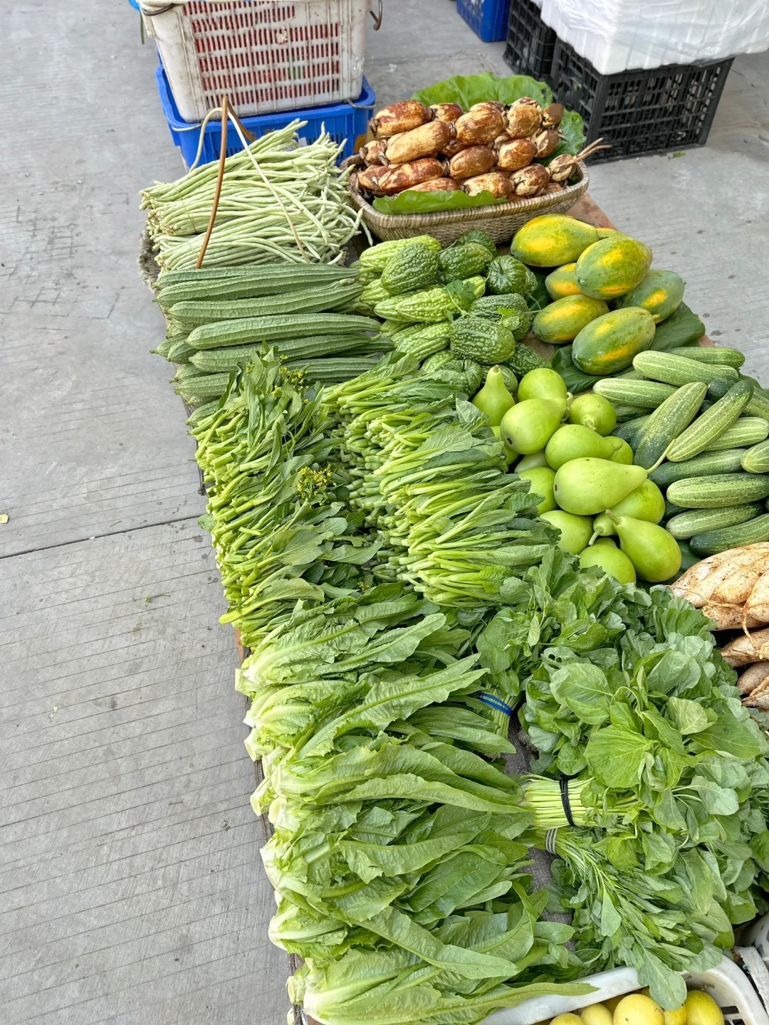 百度网盘 第10页