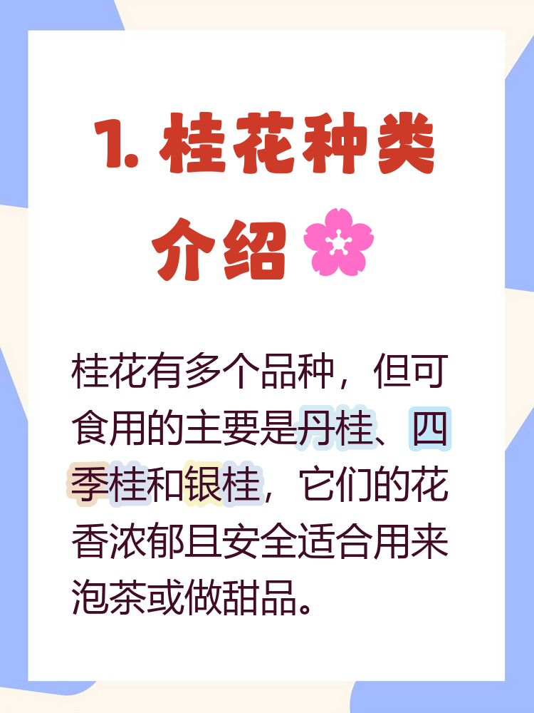 软件之家 第9页