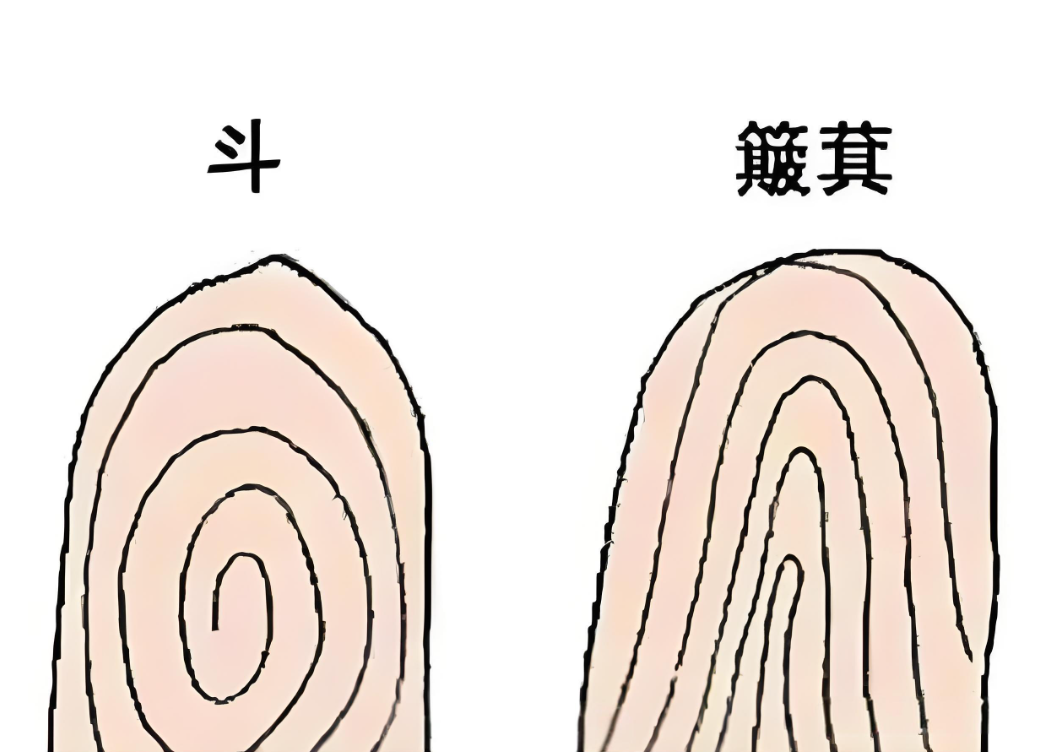 九个斗一个簸箕的几率,九个斗一个簸箕的女人命运好么