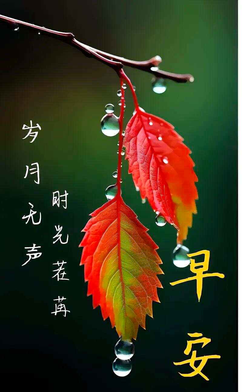 8月26号是啥日子,8月26号是什么日子?