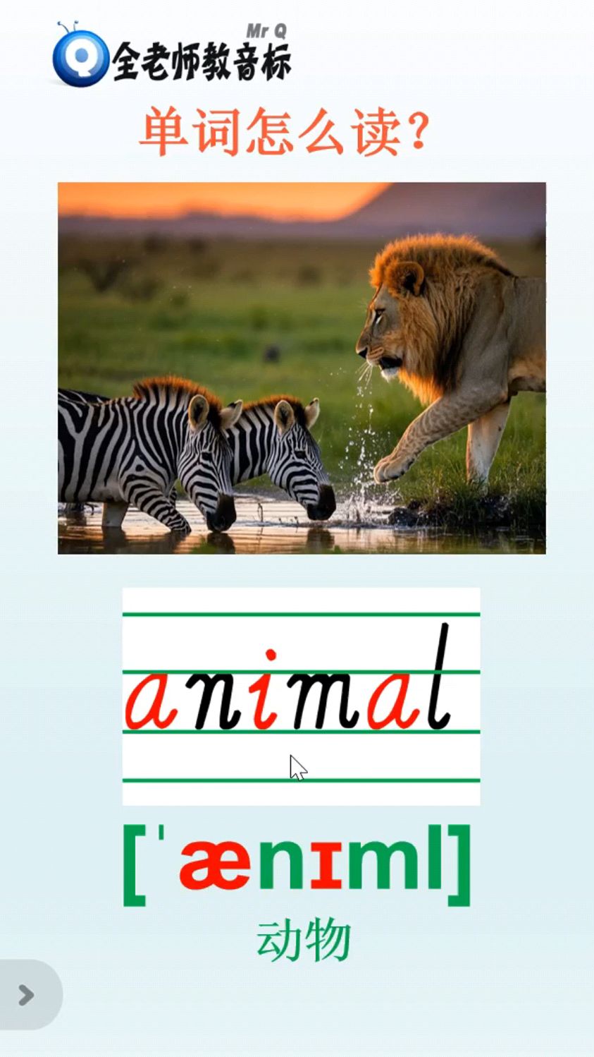 英语lions怎么读,lions怎么读音发音英语