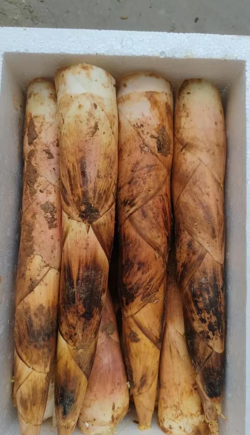 雷笋的保存方法,雷笋如何保鲜贮藏