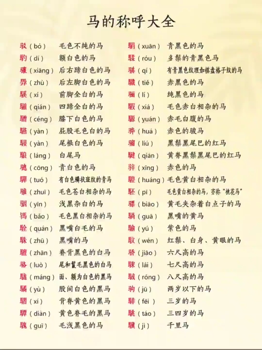 马鸣什么意思?如何解释?,马鸣什么意思?如何解释这个词