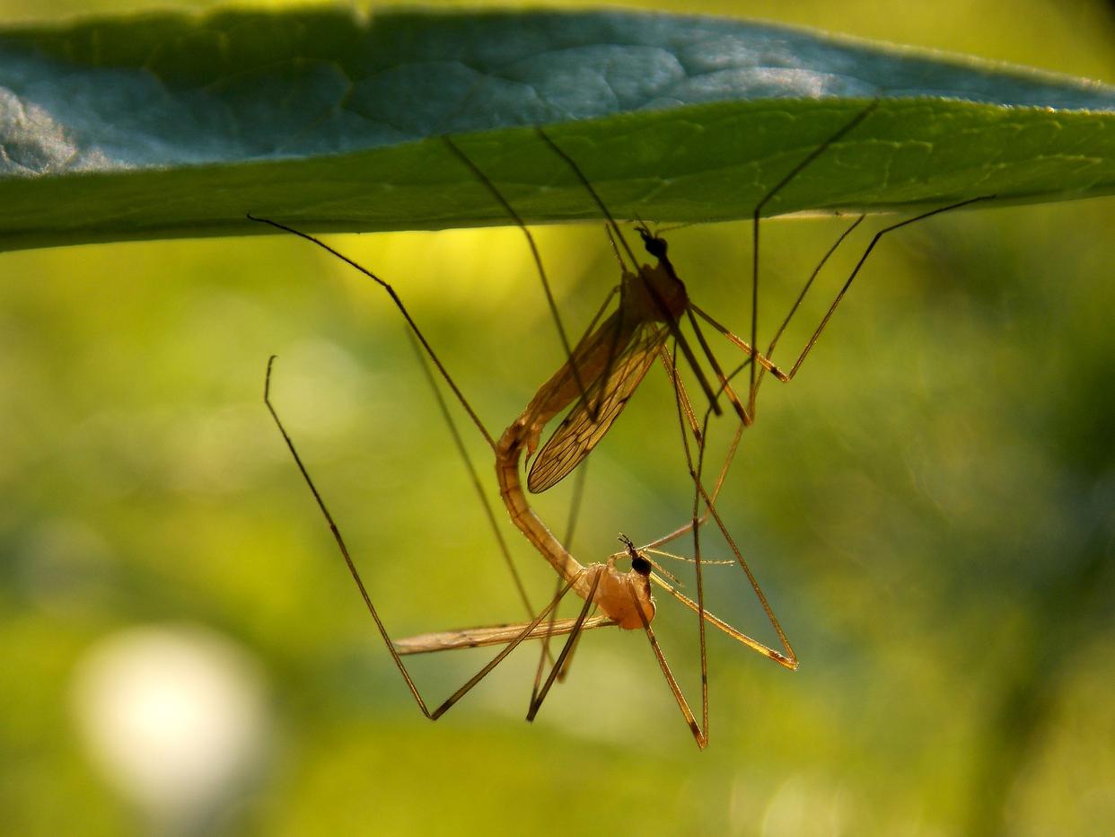 中搜行业中国 第7页