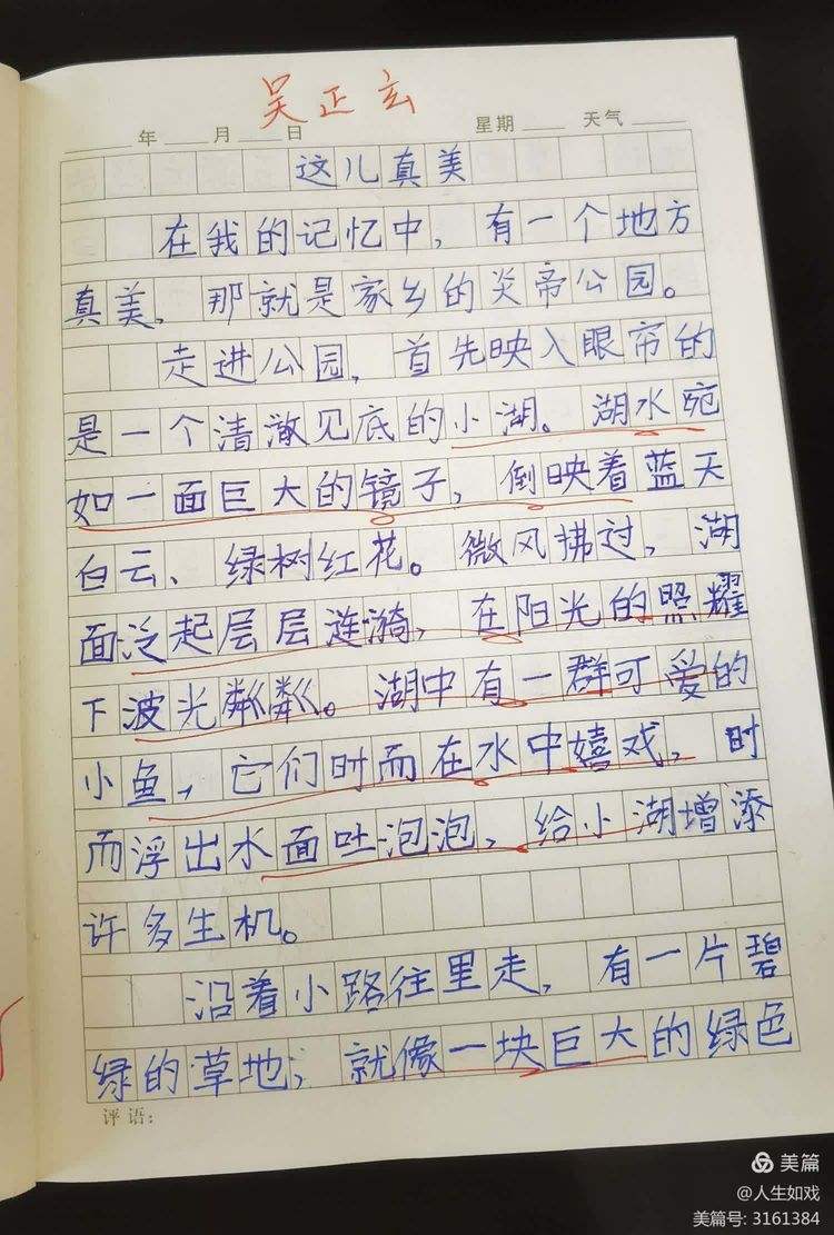 这儿真美作文范文,这儿真美作文范文第一段有中心句