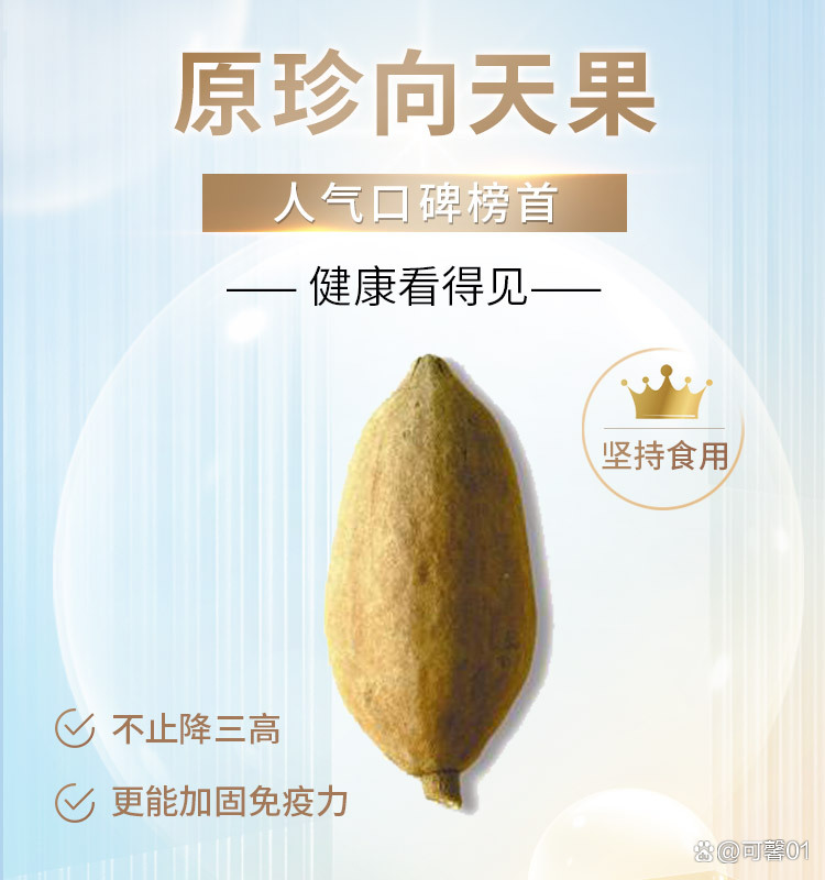 2025年10月31日 第23页