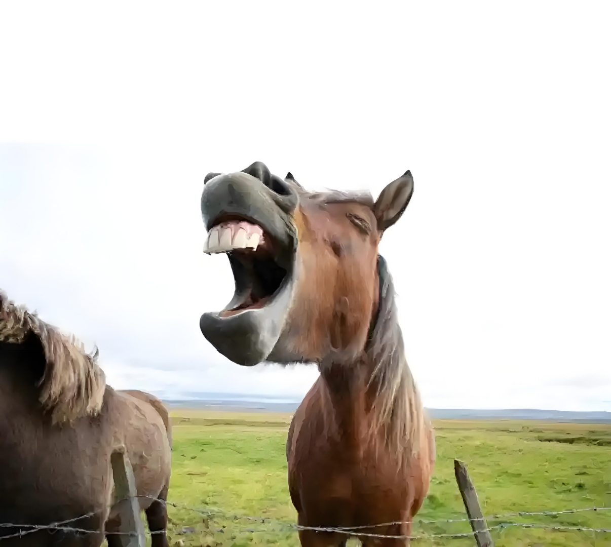 得意洋洋和得意扬扬的区别,得意扬扬和得意洋洋的区别的意思