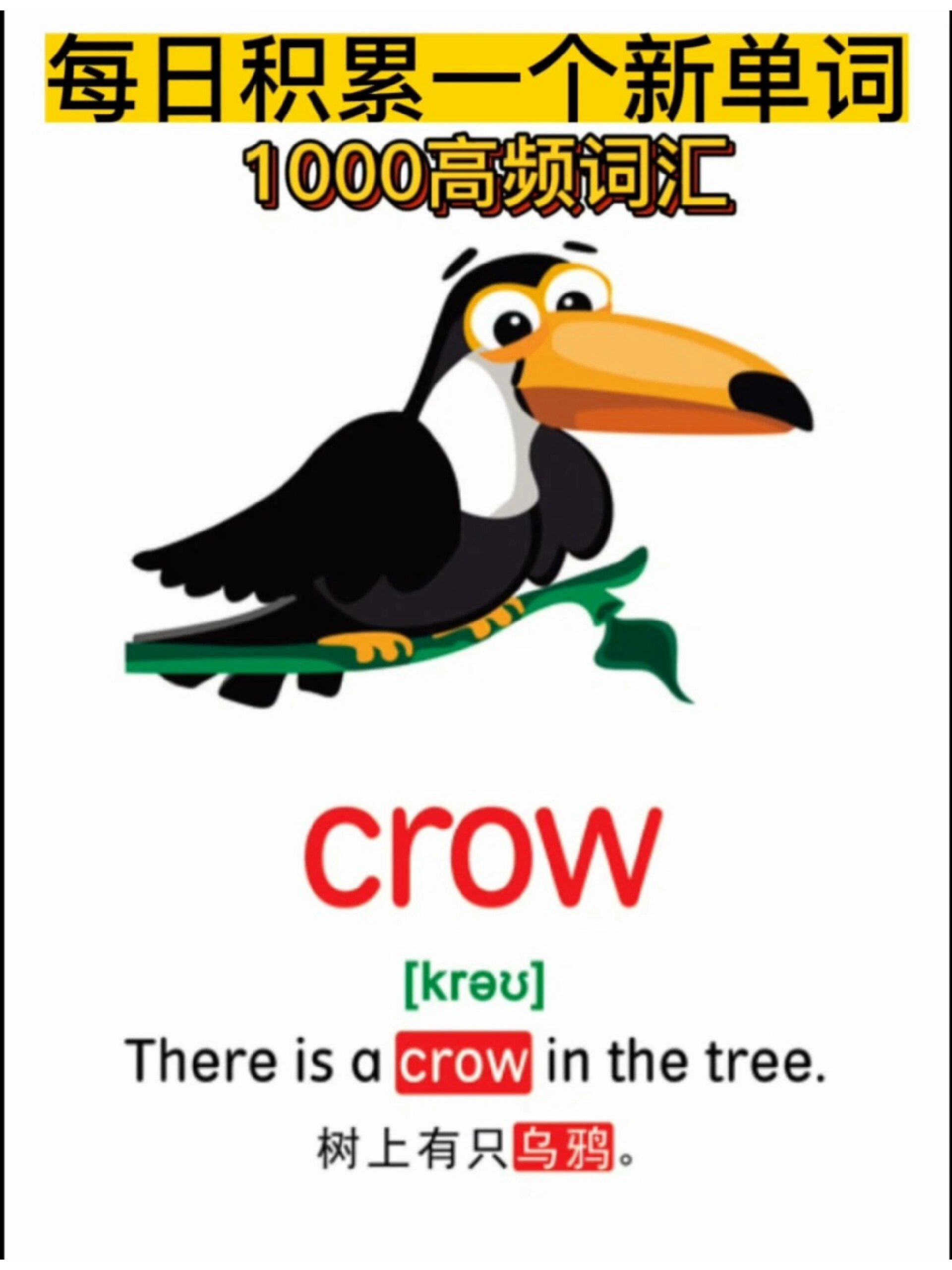 小鸟的英文如何读小鸟的英文怎么读,