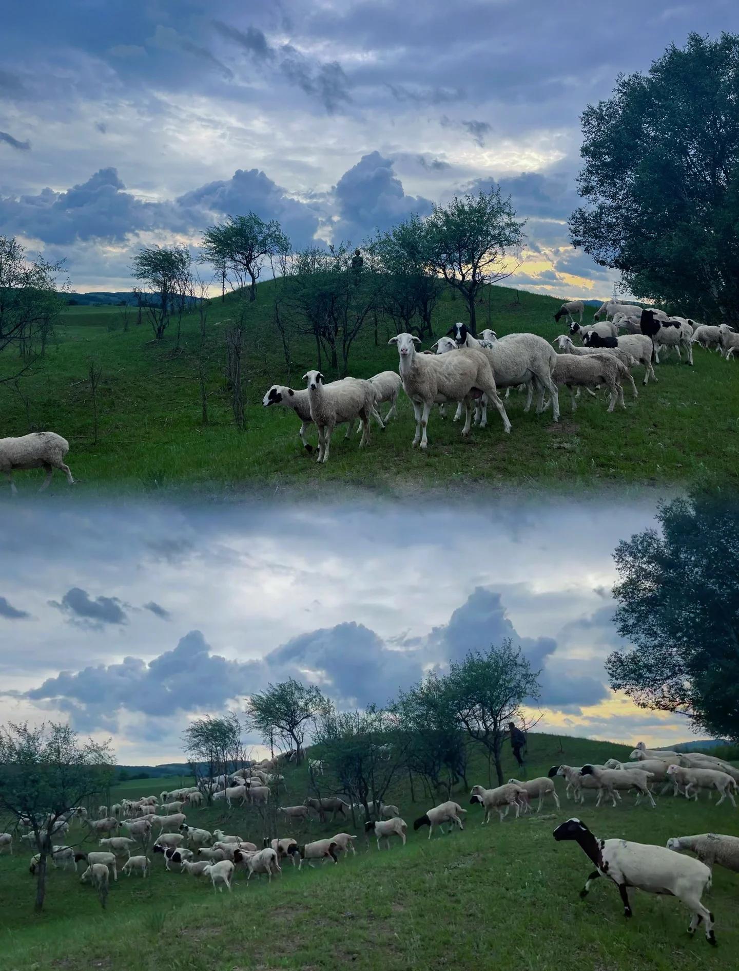 塞罕坝旅游攻略,塞罕坝旅游攻略住宿