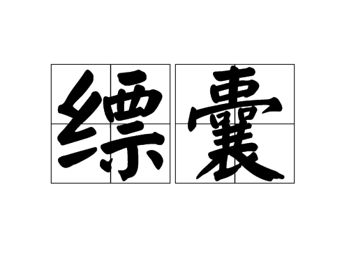 囊的组词囊组词精选,囊组词语和拼音部首结构