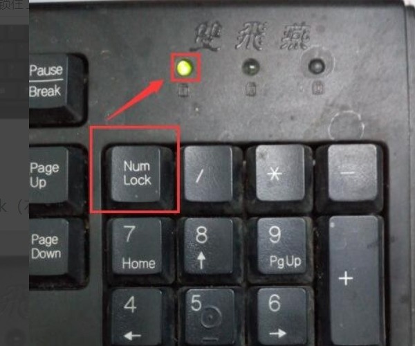 电脑键盘数字键打不出数字怎么弄,台式电脑键盘数字键打不出数字怎么弄