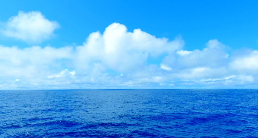 梦见大海中间有条路预示什么,梦见海水中间有条路