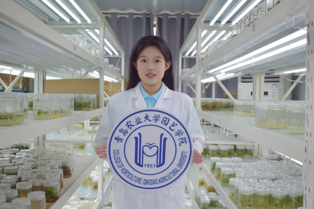 青岛农业大学专科专业有哪些,青岛农业大学有专科吗多少分