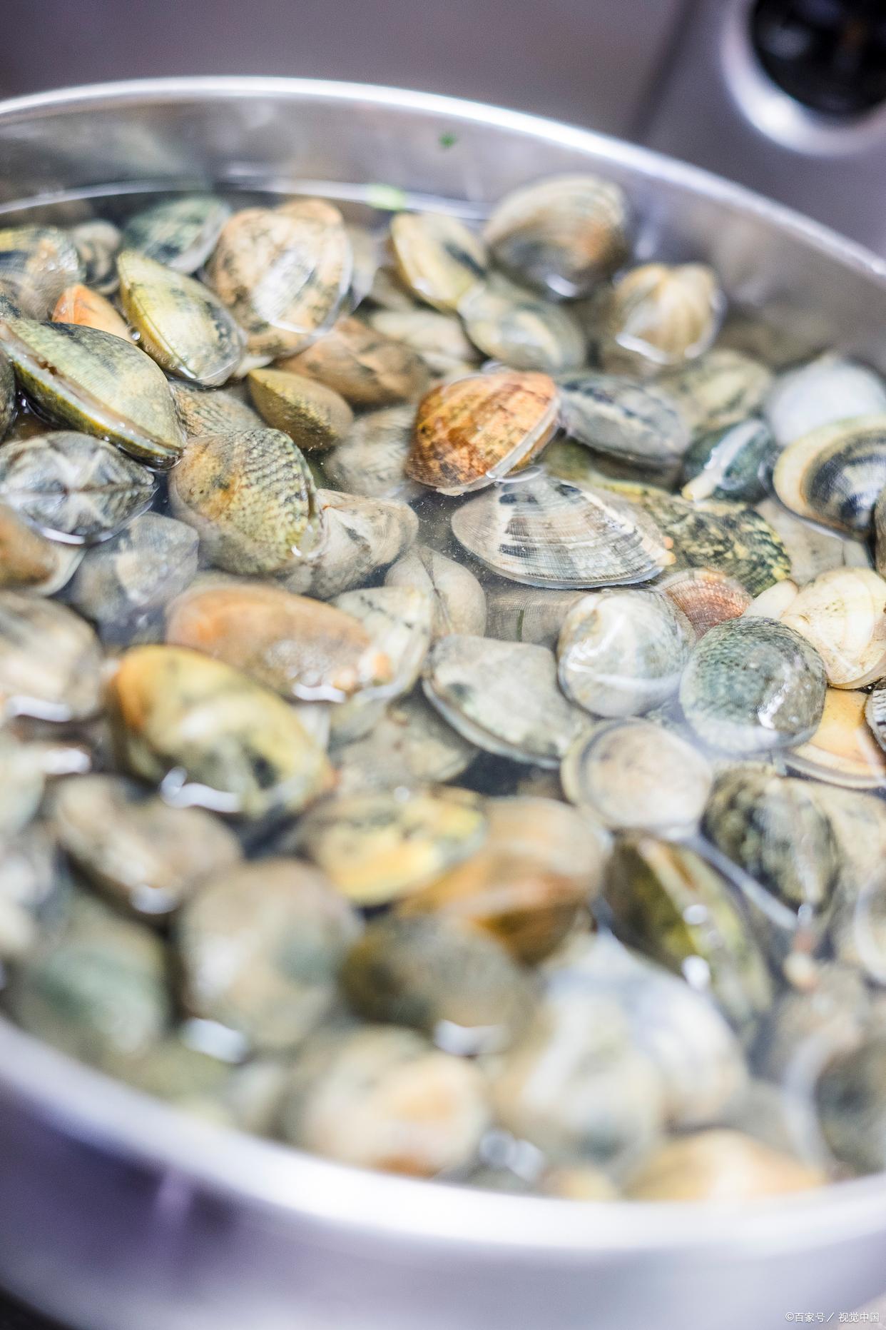 花蛤放清水里能活多久,