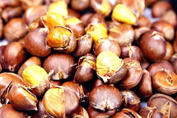 加盟皇栗皇一年能赚多少钱,皇栗皇加盟大概需要多少加盟费