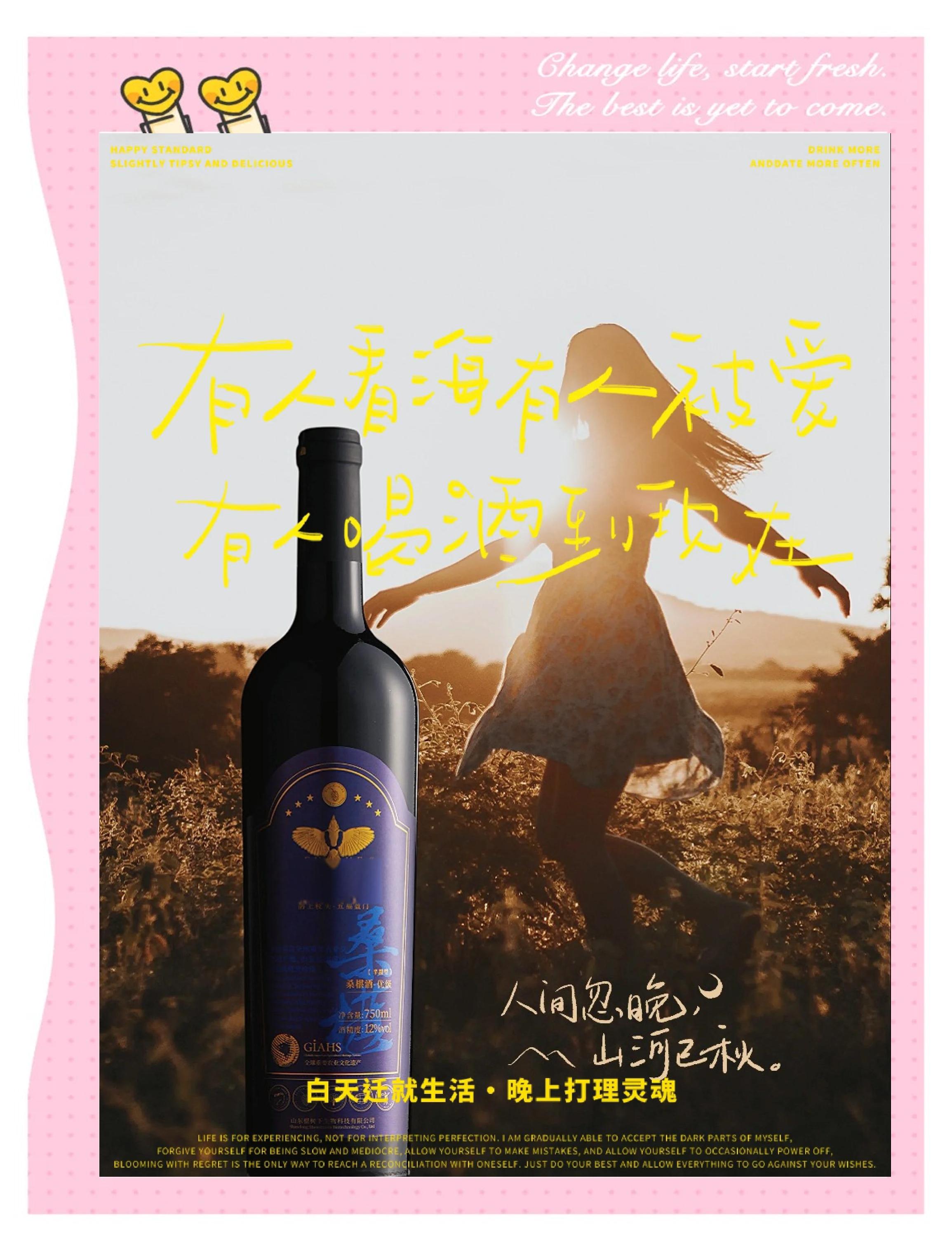 桑葚酒怎么做？,桑葚酒怎么做视频教程