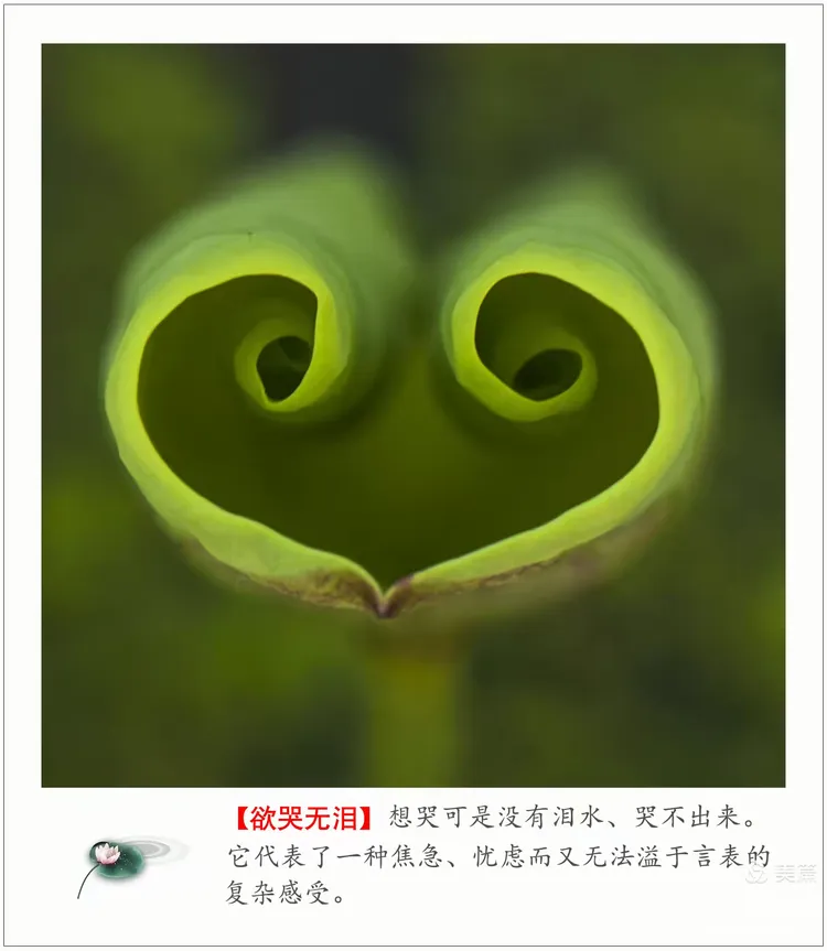 一心形里边一个患字打一成语,一个心上有一个患字打一成语