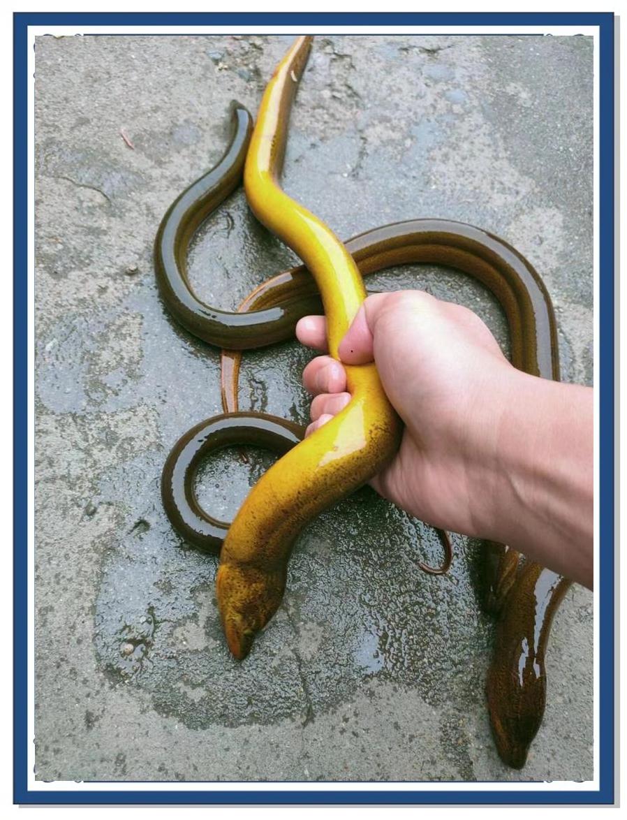 OPPO软件商店 第2页