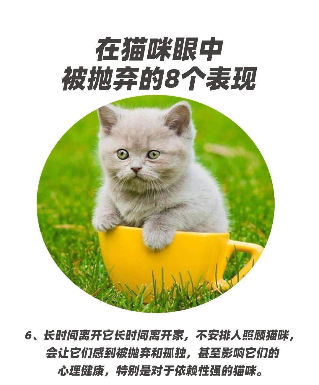 非法吸猫是什么意思,非法吸收2021年最新法律规定