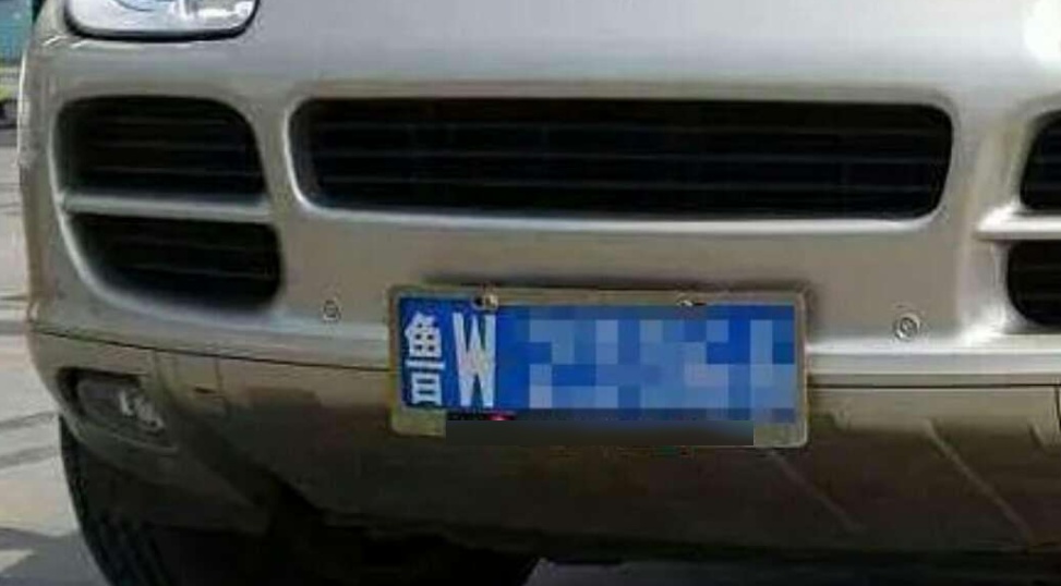 鲁d是哪里,鲁d是哪里的车?