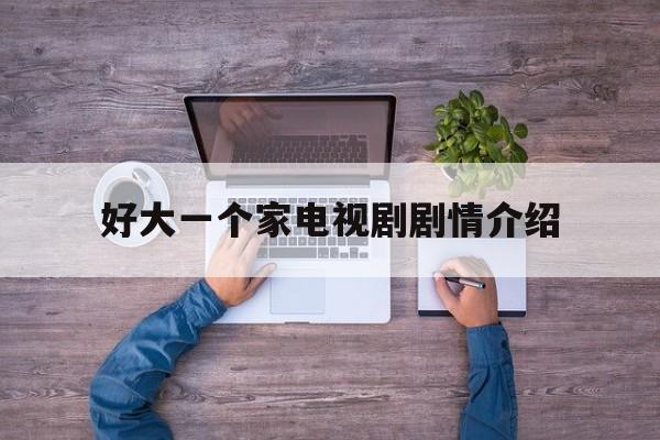 好大一个家电视剧剧情介绍,好大一个家电视剧剧情介绍天归