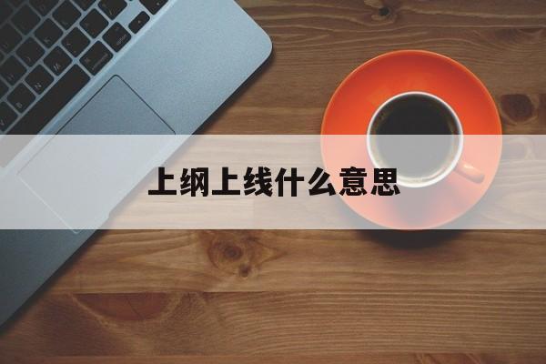 上纲上线什么意思,上纲上线什么意思啊网络用语