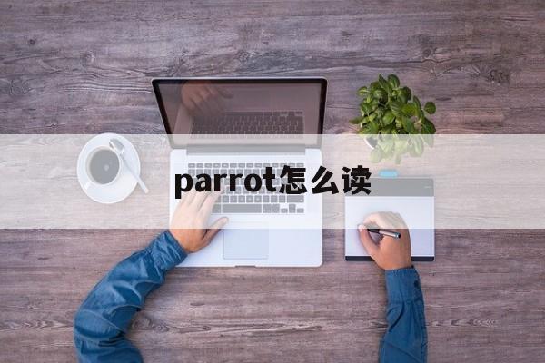 parrot怎么读,peckisaparrot怎么读